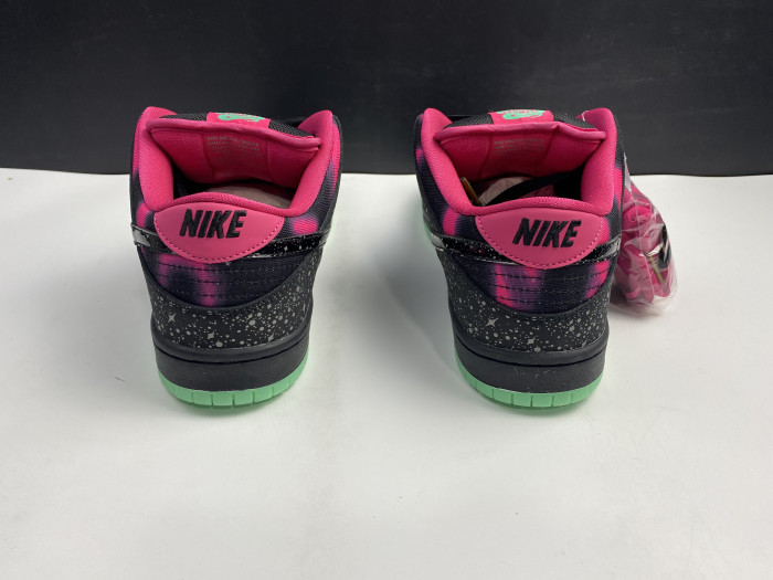 nike dunk sb low premier "N0*Hern lights"724183-063