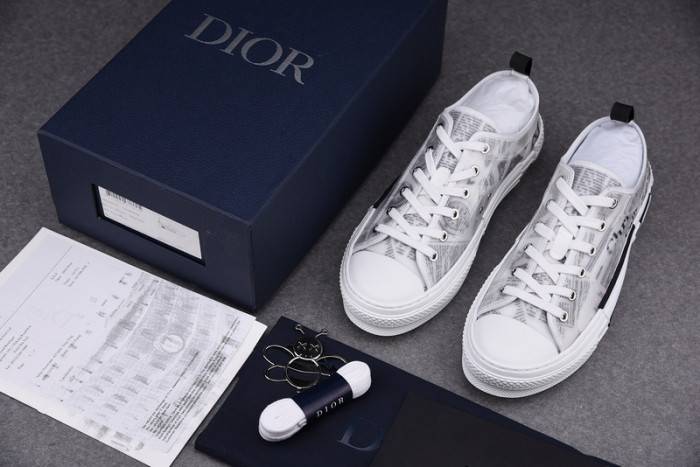 D10R B23 OBLIQUE LOW TOP SNEAKER