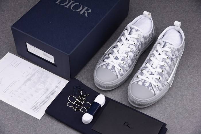 D10R B23 OBLIQUE LOW TOP SNEAKER
