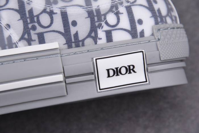 D10R B23 OBLIQUE LOW TOP SNEAKER
