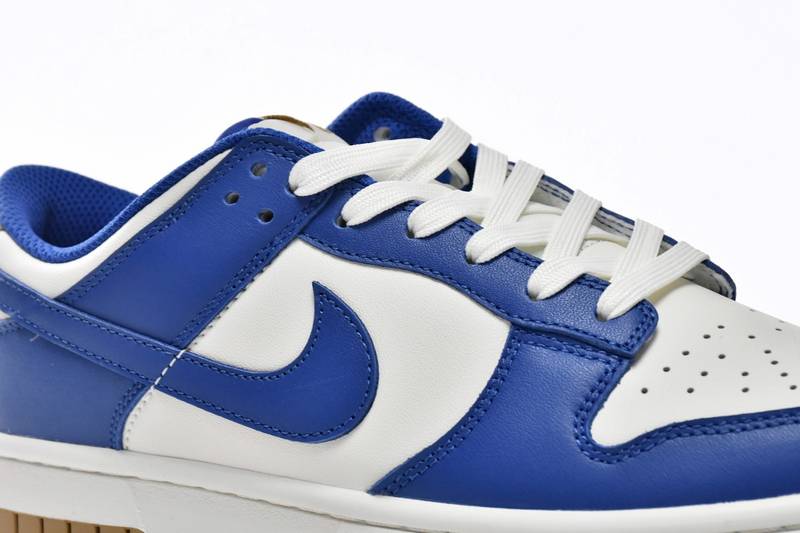 Nike Dunk Low Blue Platinum