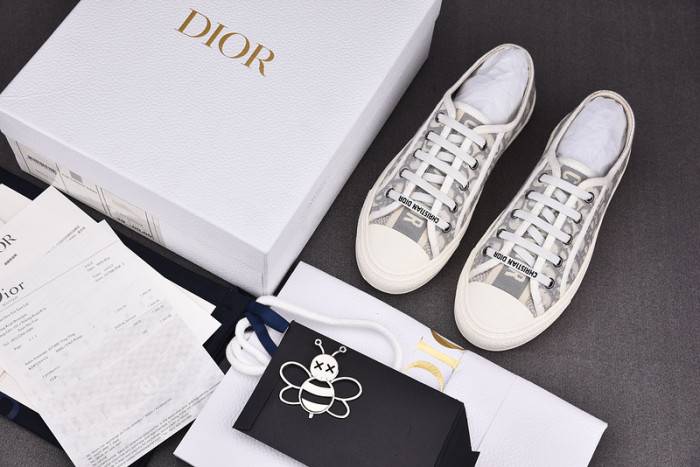 D10R B23 Oblique LOW Top Sneaker