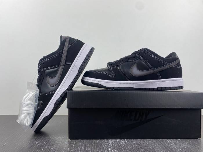 Nike Dunk Low Airbrush SWH FD6923-001